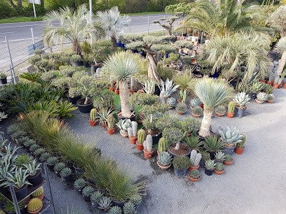 Crazy Precio, Jardinerie à Saint-Martin-du-Fouilloux