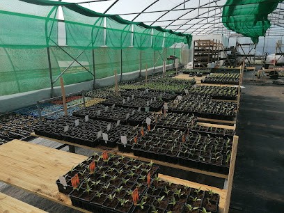 Les serres de Saint-Fort, Jardinerie à Saint-Jean-d'Angle