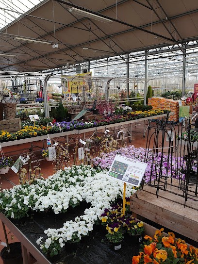 Jardinerie Thommen, Jardinerie à Mietesheim