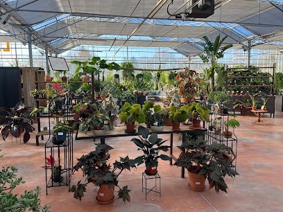 La Serre Tixier, Jardinerie à Savigny-en-Véron