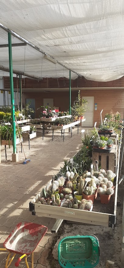 Park Orval, Jardinerie à Villethierry