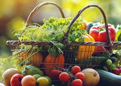 Serres De Bellevue Carole, Jardinerie à Solesmes