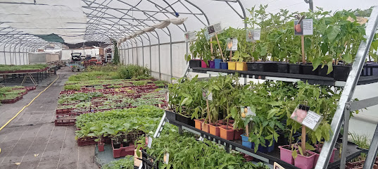 Plantoubio, Jardinerie à Rigarda