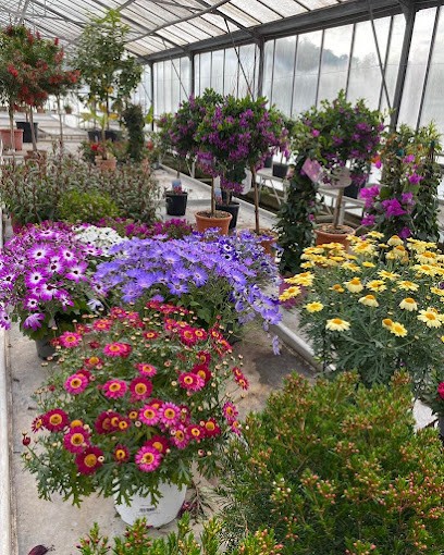 AZUR COOP - COOPERATIVE AGRICOLE / JARDINERIE, Jardinerie à Saint-Cyr-sur-Mer