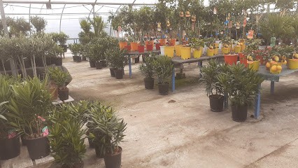 Les Fleurs De Marie, Jardinerie à Vergt