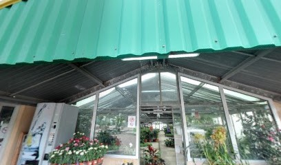 Les Pépinières de Saint Cyprien, Jardinerie à Lecci