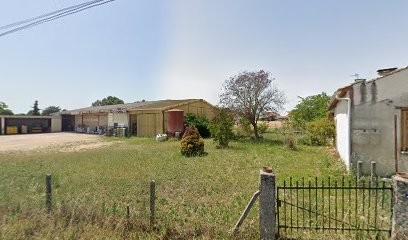 Safa Jardin, Jardinerie à Saint-Ciers-sur-Gironde