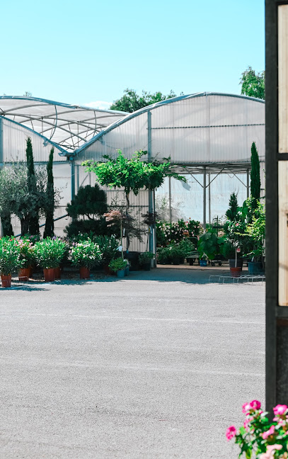 Les Serres De Chazelles, Jardinerie à Chazelles