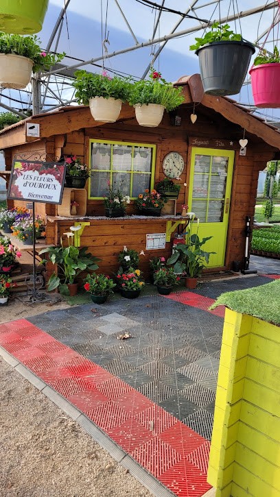 Les Fleurs D'ouroux Sur Saone, Jardinerie à Ouroux-sur-Saône