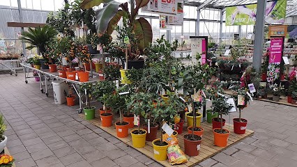 Gamm Vert, Jardinerie à Pornic