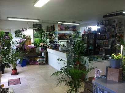 Growshop Green Passion, Jardinerie à Auvers-Saint-Georges