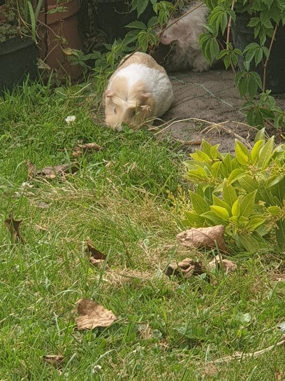 Au Domaine Vert, Jardinerie à Vaire-sous-Corbie