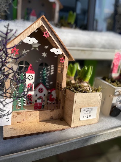 Point Vert, Jardinerie à Sains-en-Gohelle