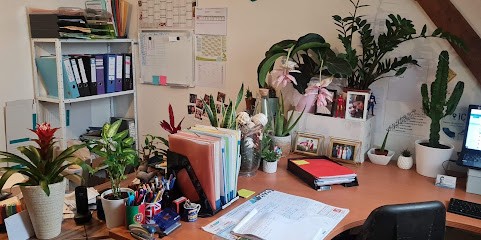 Baobab - Jardinerie Créative, Jardinerie à Sablé-sur-Sarthe