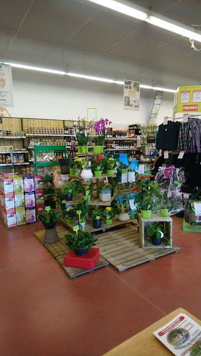 Gamm Vert, Jardinerie à Toulon-sur-Arroux