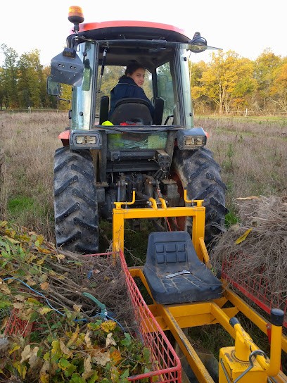 GUERIN PEPINIERES ET TRAVAUX, Jardinerie à Neuilly-l'Évêque