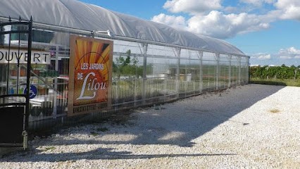 Les Jardins de Lilou, Jardinerie à Rauzan