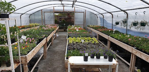 Jardinerie St Leger Magnazeix, Jardinerie à Saint-Léger-Magnazeix