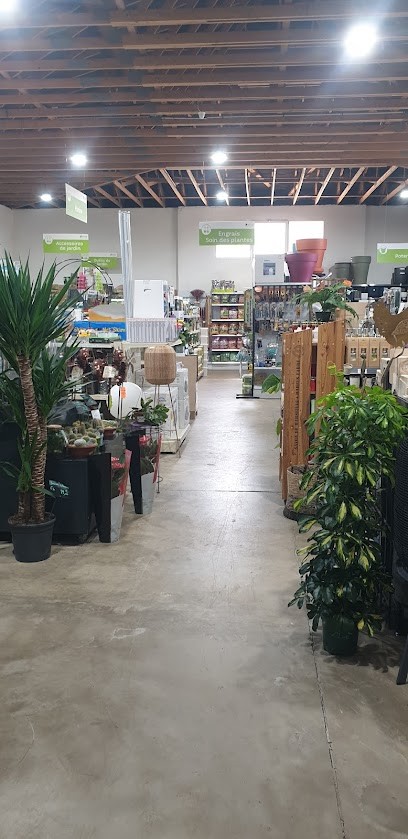 Jardinerie Valgwen kiriel, Jardinerie à Propriano