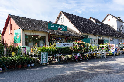 Gamm Vert, Jardinerie à Saint-Amand-en-Puisaye