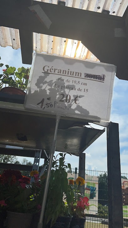 JardiZoo, Jardinerie à Petite-Forêt