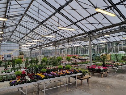 SAM JARDINERIE, Jardinerie à Saint-Père-en-Retz