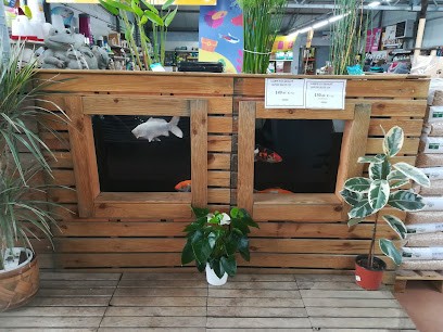 Côté Nature Pacy-sur-Eure, Jardinerie à Pacy-sur-Eure