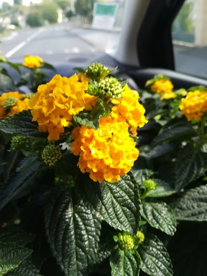 La Jardinerie (Sarl), Jardinerie à Beaumont-sur-Dême