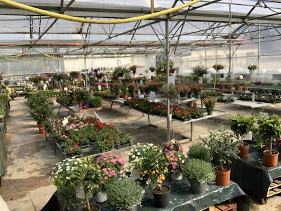 Mutel Horticulture, Jardinerie à Prugny