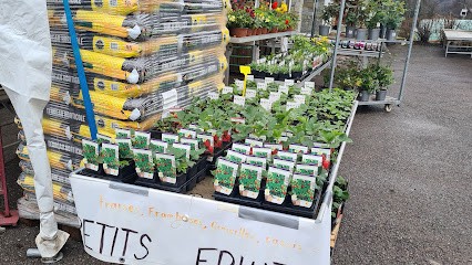 Ricco Motoculture et Jardins, Jardinerie à Verchaix