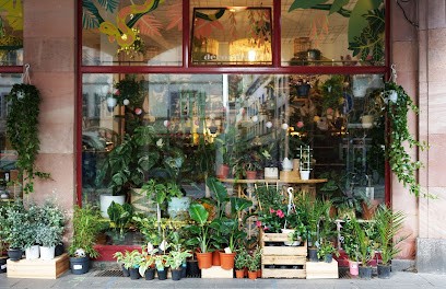 Tchungle, Jardinerie à Strasbourg