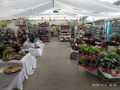 Gamm vert, Jardinerie à Pomarez