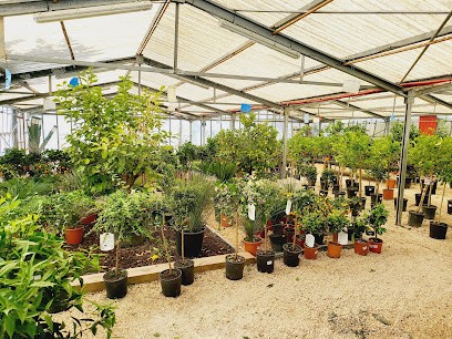 Pépinière Saint Pauloise, Jardinerie à Saint-Paul-de-Vence