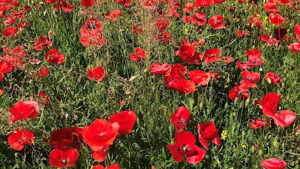 Ma Graineterie, Jardinerie à Rognes