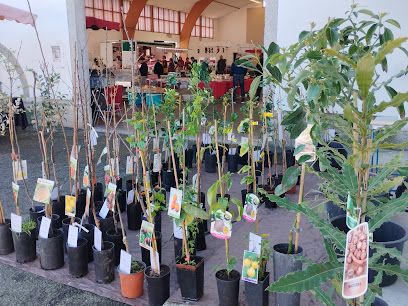 L'arbre Fruitier, Jardinerie à Ustaritz