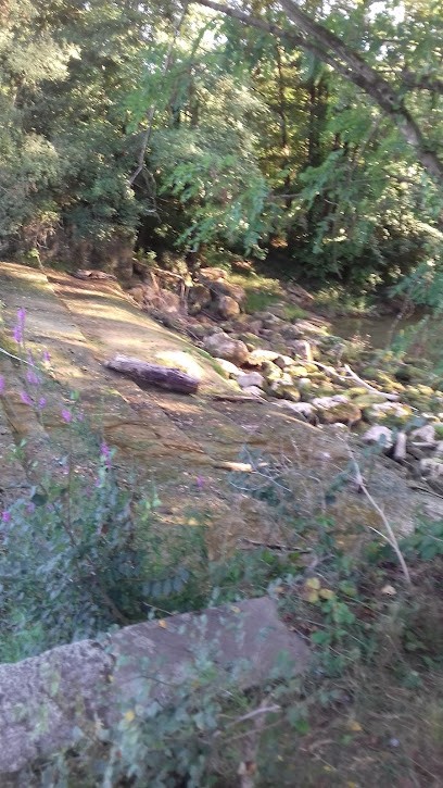 Laurent SAS MAHIEUX, Jardinerie à Réalville