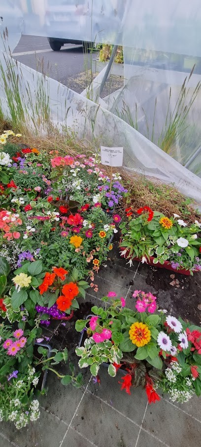 France Rurale Borde Lajarrige Distributi, Jardinerie à Mauriac