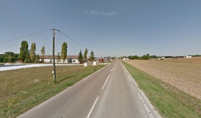 Capsvert LIGNY LE CHATEL, Jardinerie à Ligny-le-Châtel