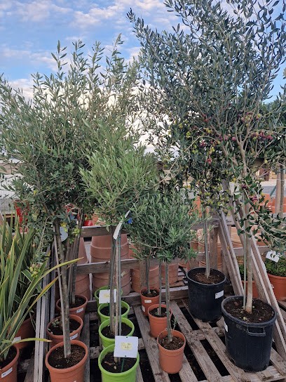 Espace Jardin - Jardinerie, Alimentation Animale, Jardinerie à Remoulins