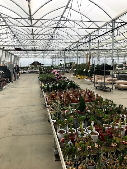 Pepinieres Renaud - Groupe Grandiflora, Jardinerie à Vertou