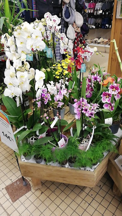 Gamm vert, Jardinerie à Mugron