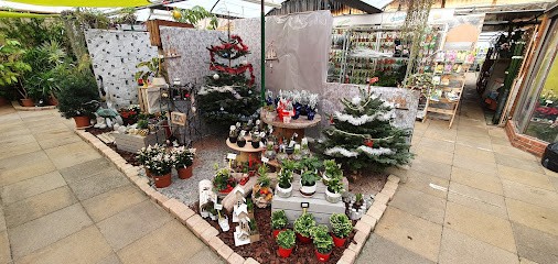 LE P'TIT JARDINIER, Jardinerie à Pierre-de-Bresse