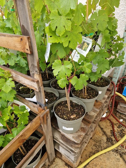 Espace Jardin - Jardinerie, Alimentation Animale, Jardinerie à Trets