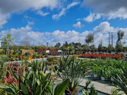 Les Jardins De Péline Dax, Jardinerie à Saint-Vincent-de-Paul