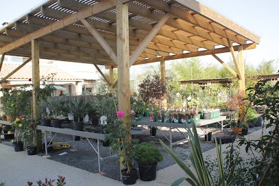 Jardinerie Braize, Jardinerie à Pierrelatte