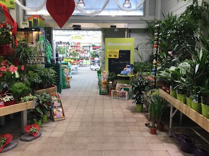 Gamm Vert, Jardinerie à Voreppe