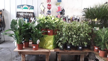 Les Etablissements Huguet, Jardinerie à Saint-Honoré-les-Bains