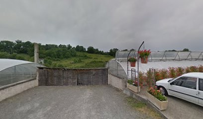 Les Serres Du Monorail, Jardinerie à Panissières