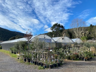 Au Jardin Des Mourgues, Jardinerie à Thoiras