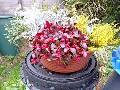 Jardinerie Les Iris Bleus, Jardinerie à Merlimont